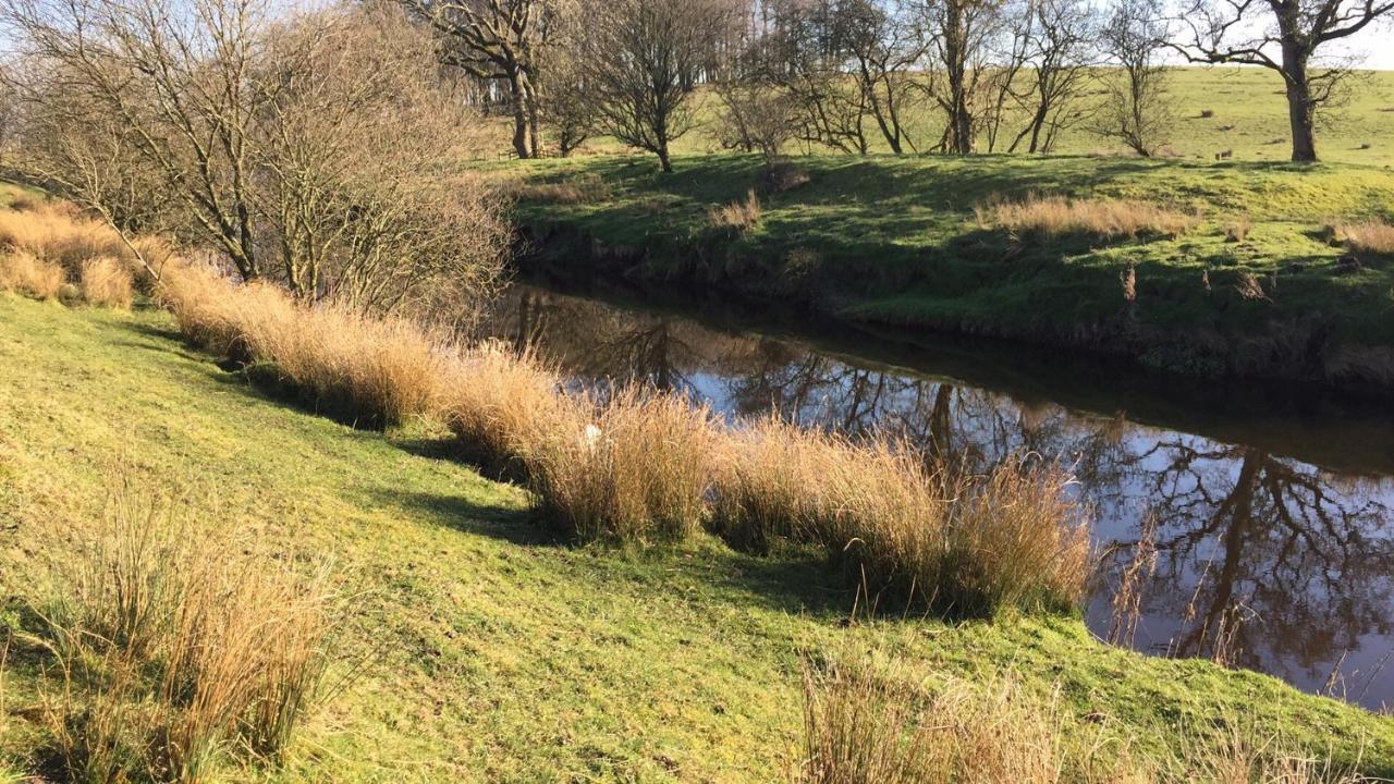 Ingledale Apartment, Ingleton, Yorkshire Dales National Park, Famous Three Peaks, Near The Lake District, Pets Are Welcome Ingleton  Eksteriør billede